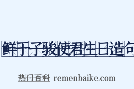 鲜于子骏使君生日造句是什么意思的图片